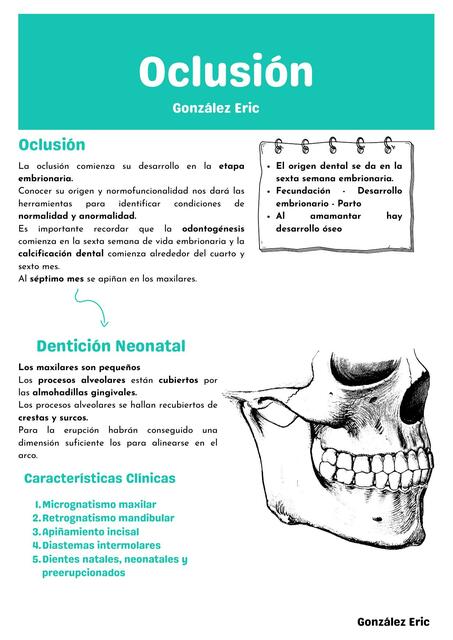 Dentición primaria