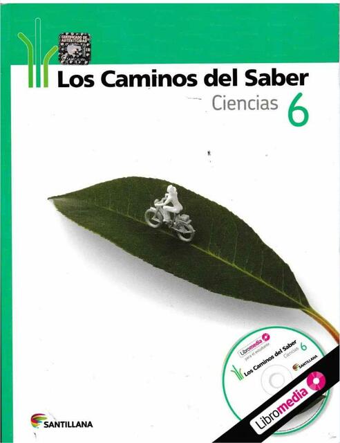 Los caminos del saber Ciencias 6