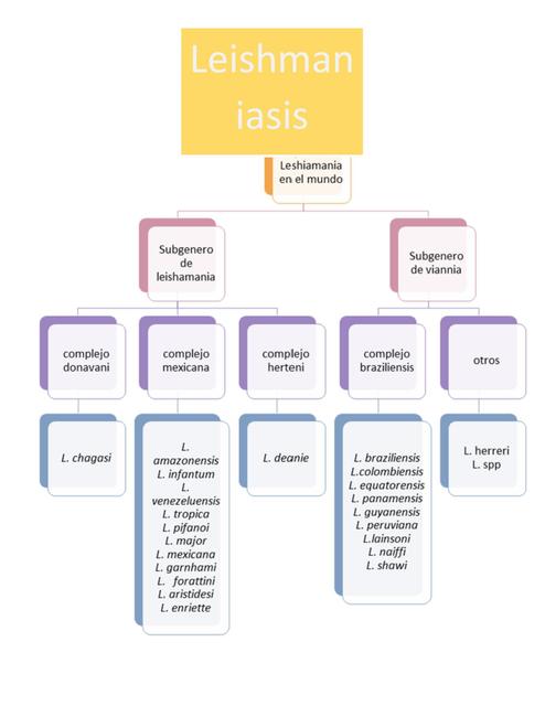 Resumen Leishmaniasis