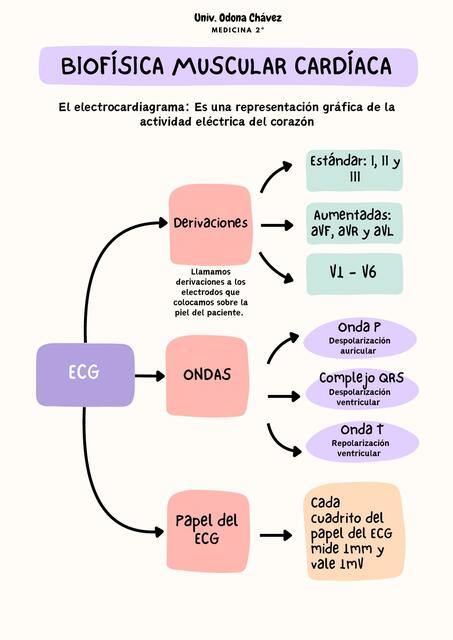 Apuntes de Biofísica Electrocardiograma OC