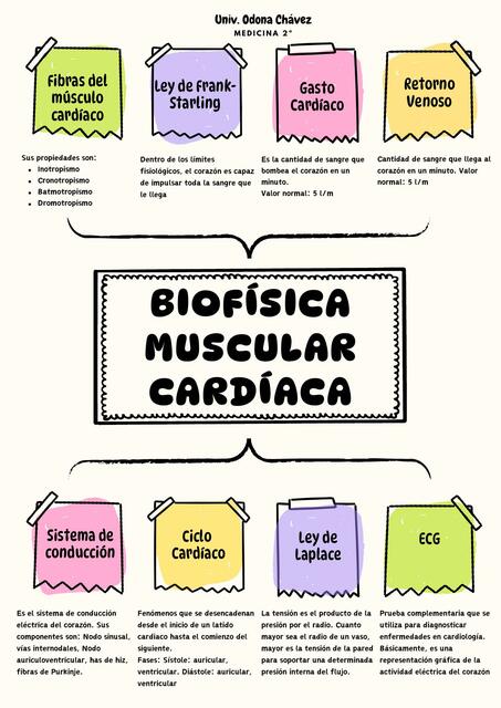 Apuntes de Biofísica Muscular Cardíaca OC