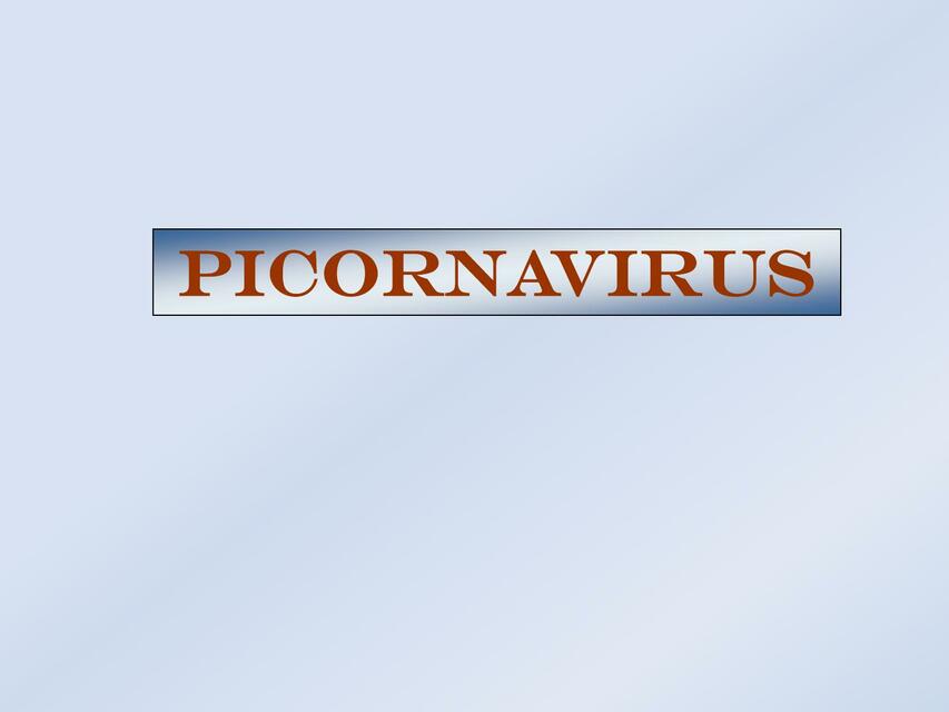 10 PW Picornavirus