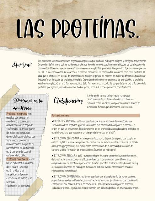 Las proteínas