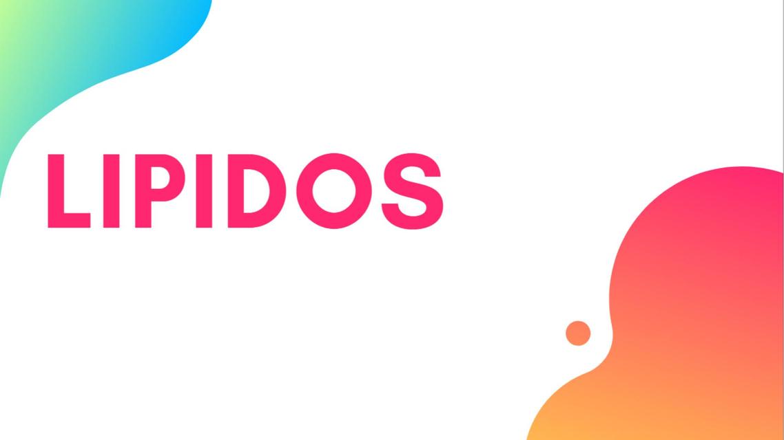 LIPIDOS