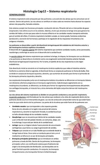 Histología Cap12