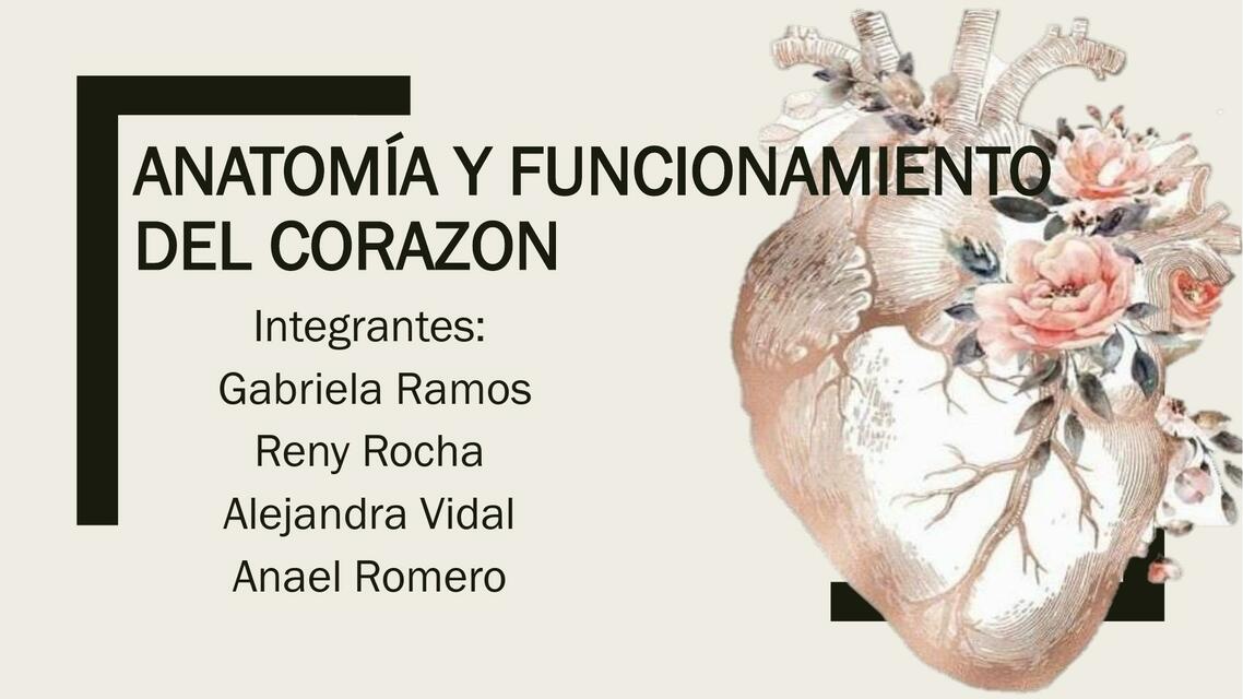 Anatomía Y FUNCIONAMIENTO DEL CORAZON