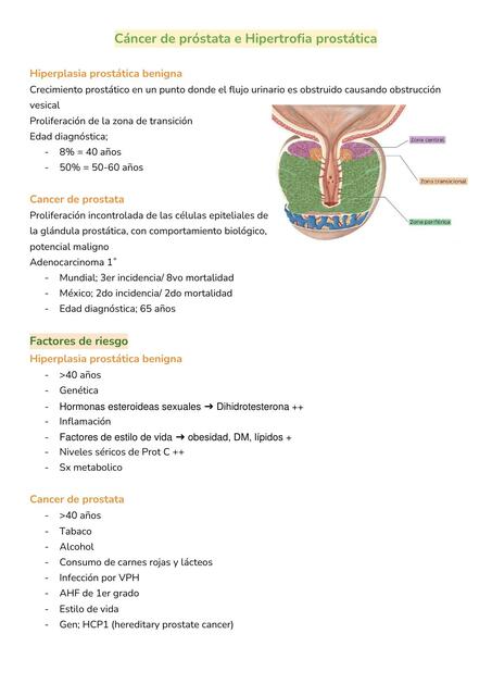 Cáncer de próstata e Hipertrofia prostática - Medicina familiar