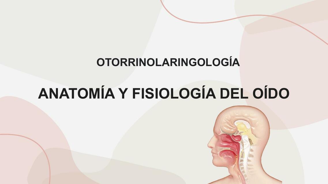 Oído: anatomía y fisiología