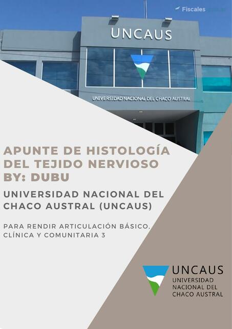 DUBUAPUNTE HISTOLOGÍA DEL TEJIDO NERVIOSO