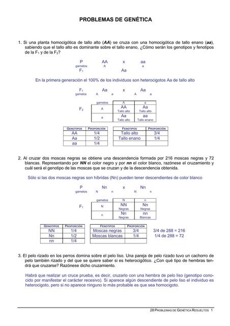 Problemas resueltos de genética