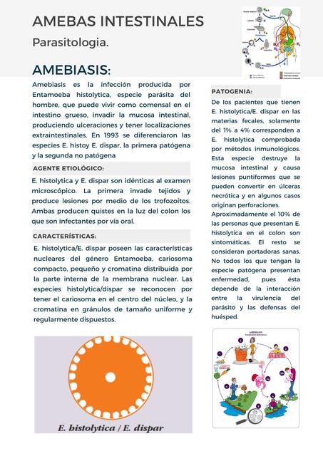 Amebas intestinales parasitologíamari