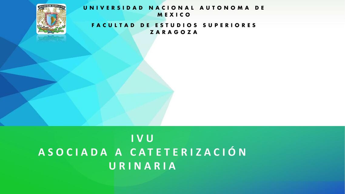 IVU ASOCIADA A CATETER