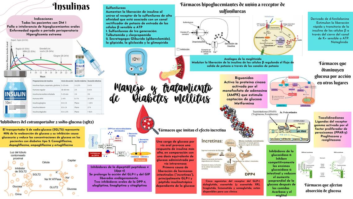 Manejo y tratamiento de Diabetes Mellitus