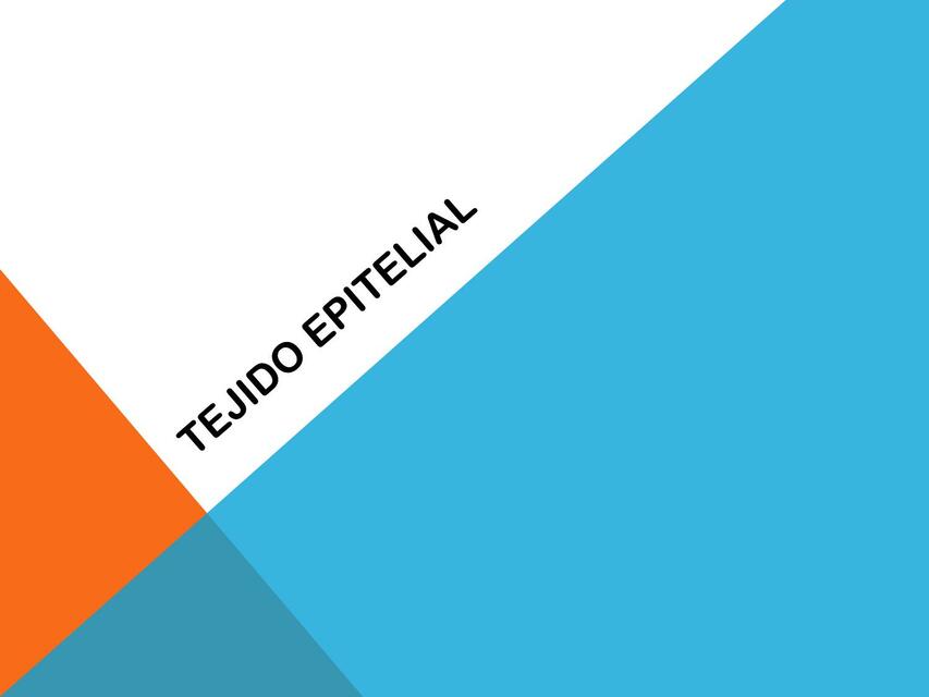 TEJIDO EPITELIAL