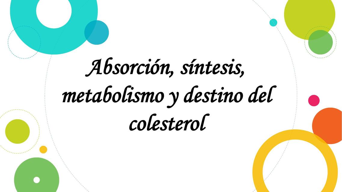 Absorción síntesis metabolismo y destino del colesterol