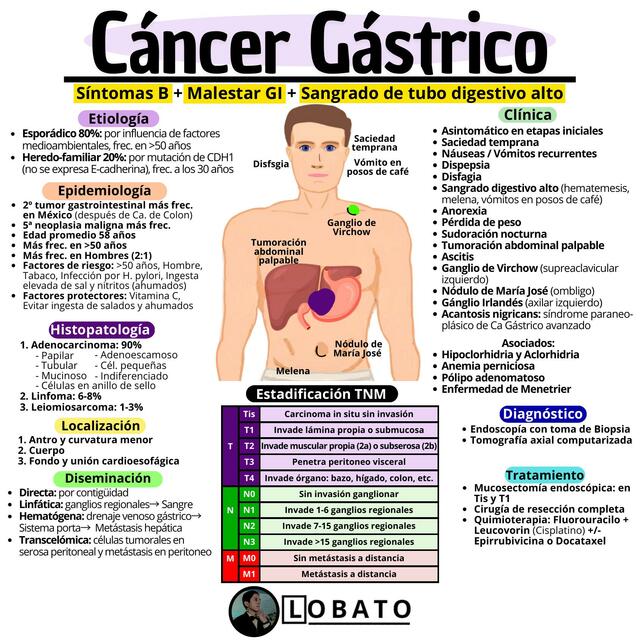 Cáncer de estómago 🩺| Clínica, Diagnóstico, Tratamiento