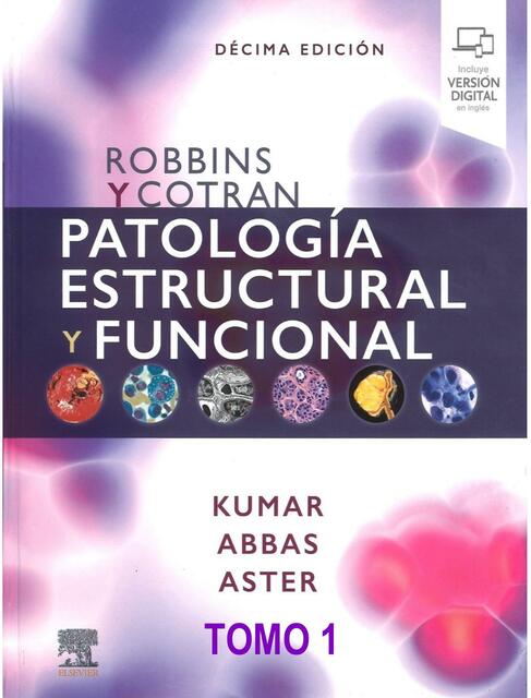 Patología estructural y funcional 