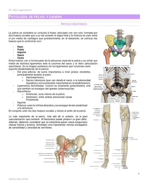 Patología de pelvis y cadera