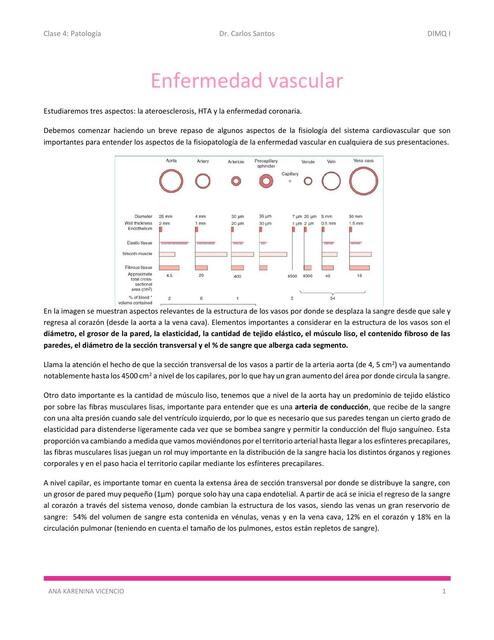 Clase 1 4 Enfermedad vascular