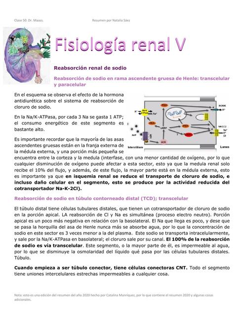 Clase 50 Fisio V manejo renal de calcio fosfor y m