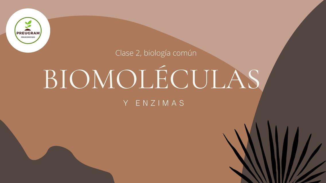 Biomoleculas