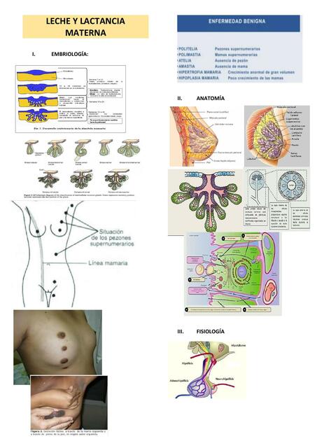 Diapositivas Pediatría Fase 2