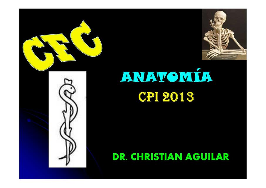 CFC MIOLOGÍA MS 1