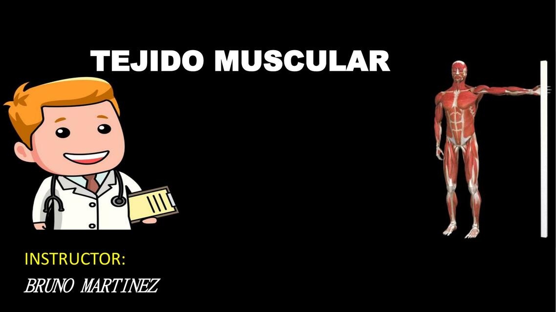 TEJIDO MUSCULAR