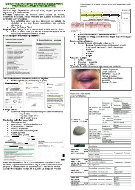 DELITOS CONTRA LA VIDA, EL CUERPO Y LA SALUD: VALORACIÓN MÉDICO LEGAL DE LESIONE