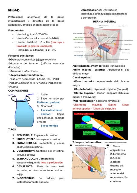 TEMA 4 HERNIAS