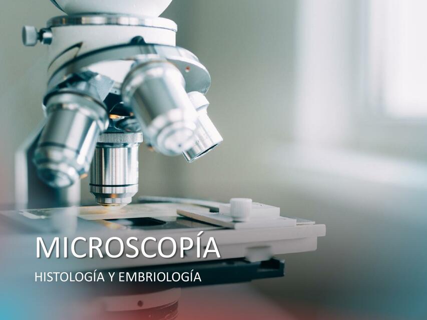 TP 1 Microscopia 2