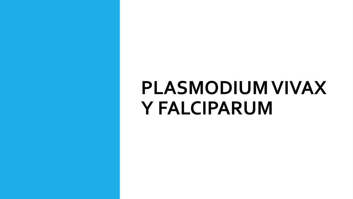 Plasmodium vivax y falciparum