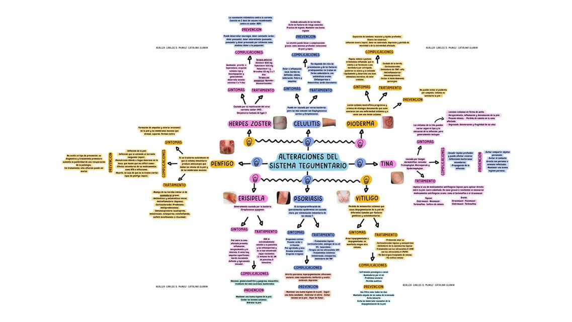 Tipos de Alteraciones del Sistema Tegumentario