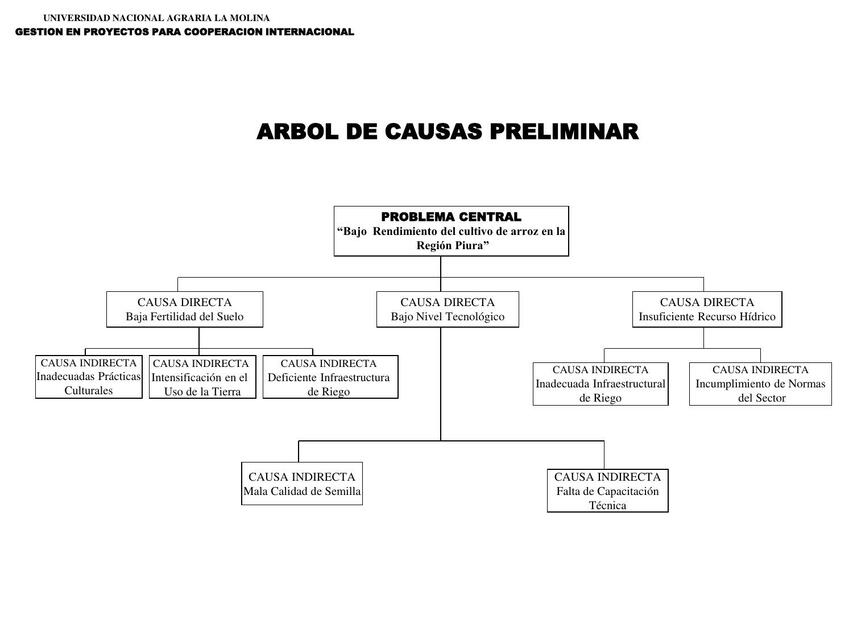 Arbol medios y fines