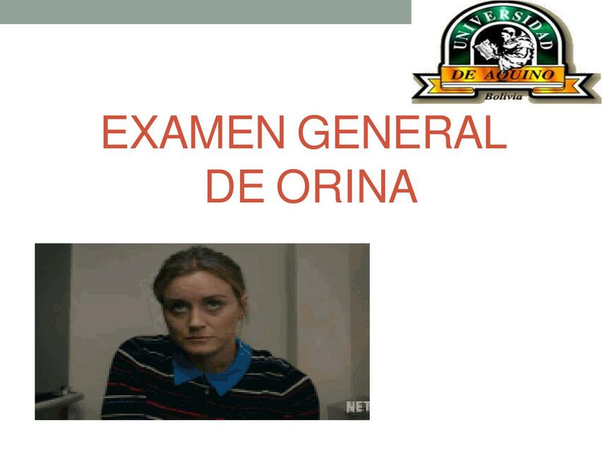 Exámen general de orina exposicion