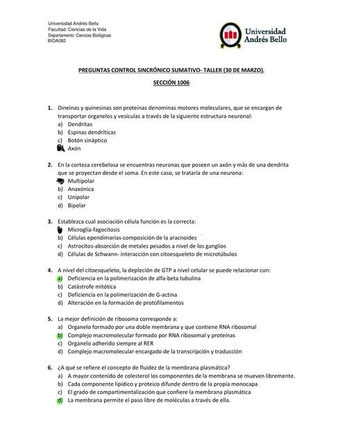 Preguntas control sincrónico sumativo 