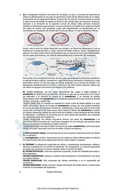 guia de trabajo TEJIDOS 1