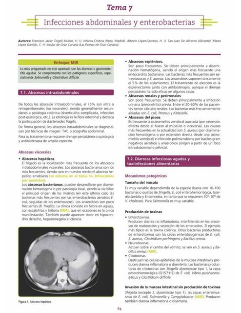 1 b infecciones abdominales y enterobacterias