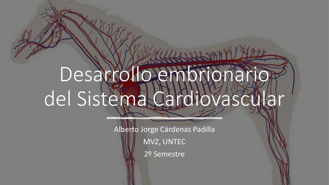 Embriología Sist Cardiovascular