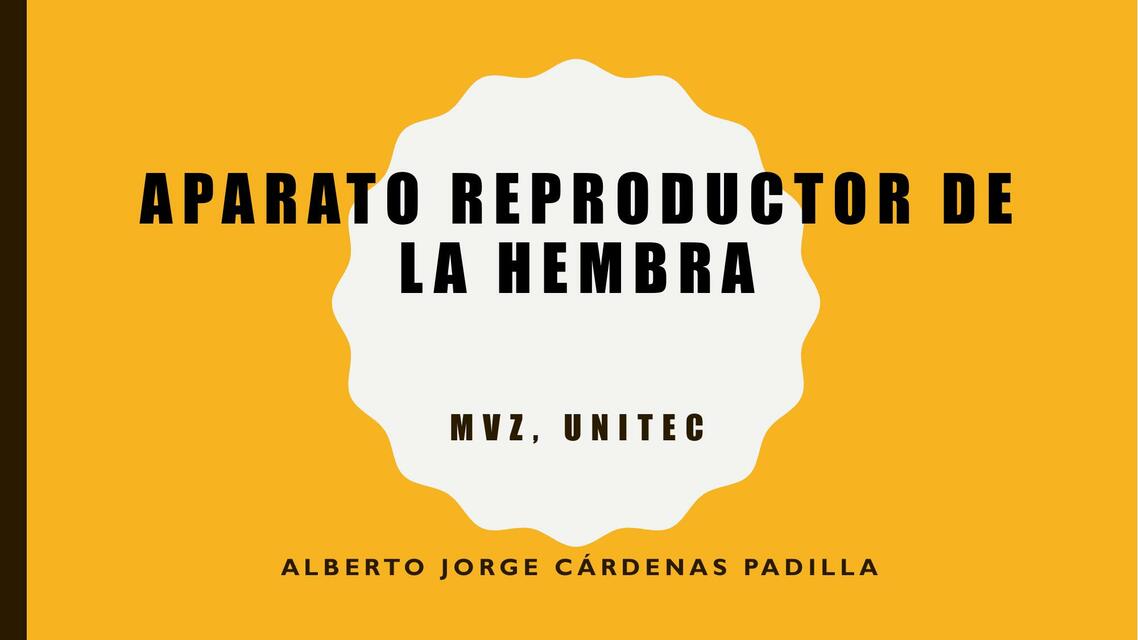 Aparato reproductor de la hembra