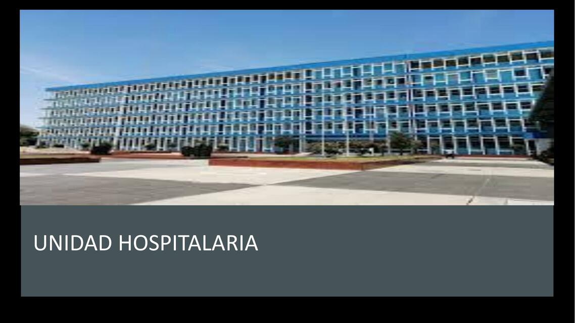 UNIDAD HOSPITALARIA pptx