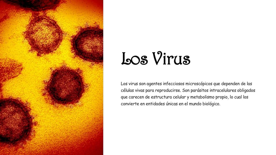 Introduccion a los Virus