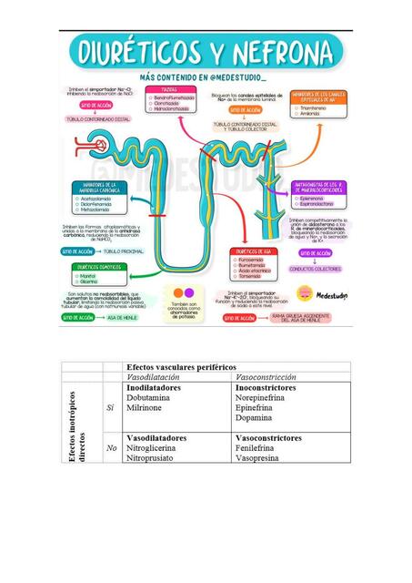 Farmacos vasoactivos