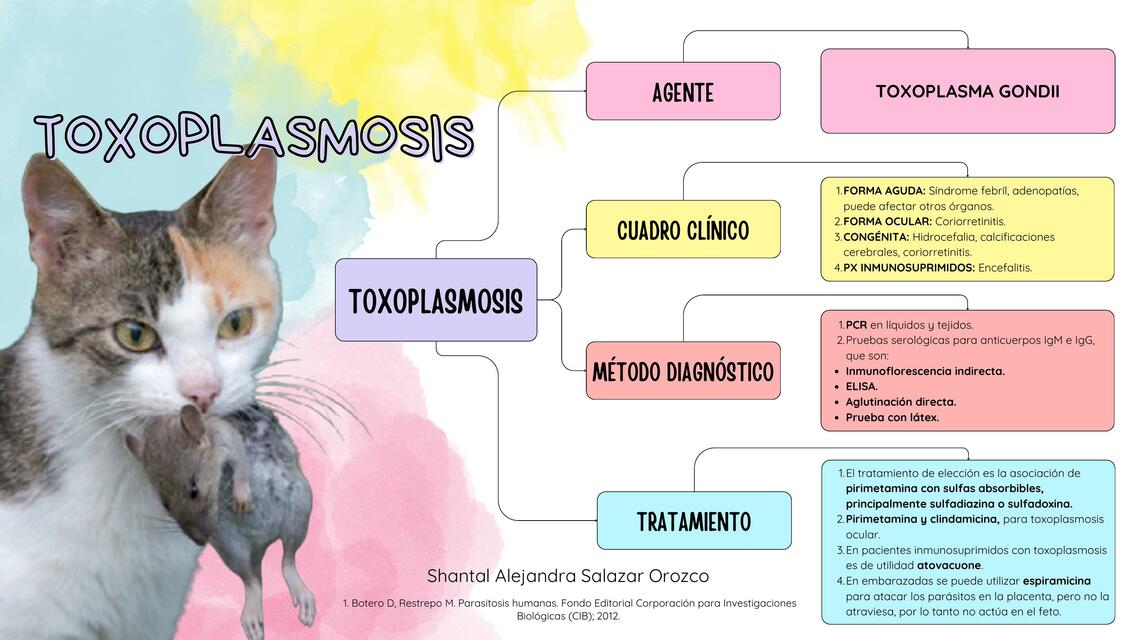 TOXOPLASMOSIS