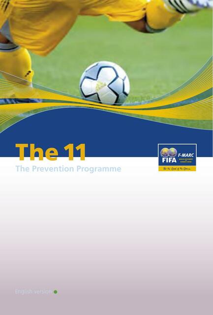 The FIFA 11 Soccer Injury Prevention Program