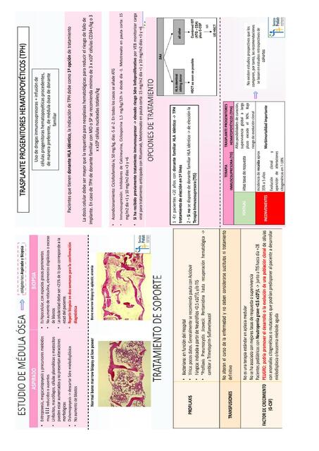 anemia aplasica tx