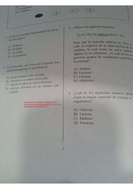 guias plan 33 materias prepa abierta