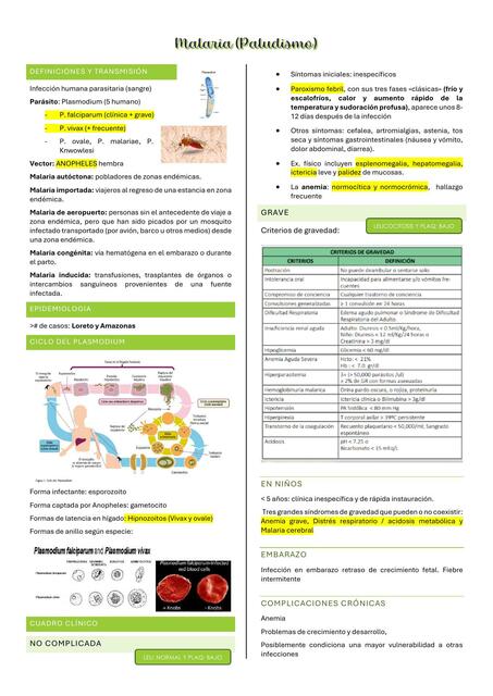 malaria PDF