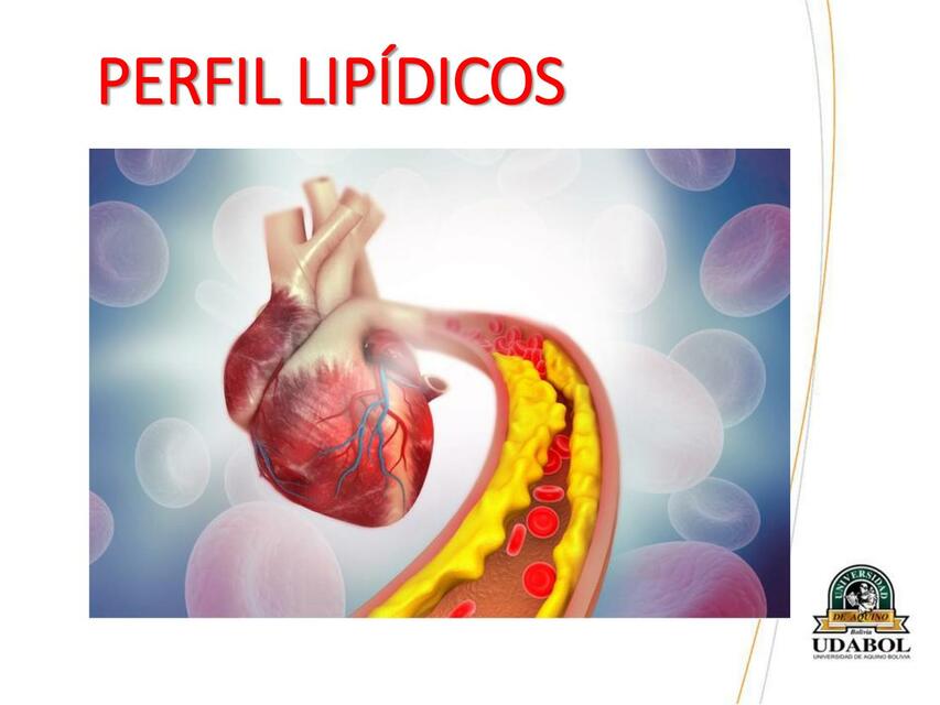 PERFIL LIPIDICO