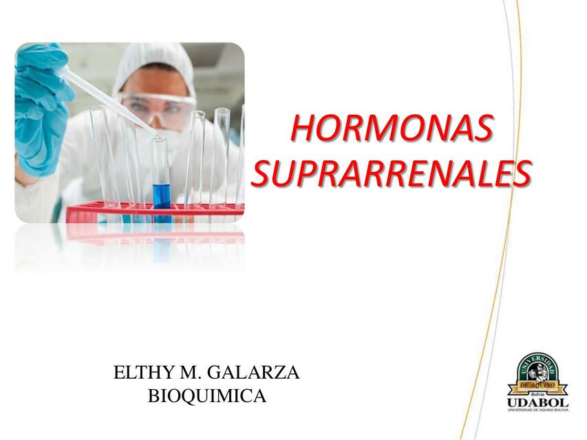 2 HORMONAS SUPRARRENALES